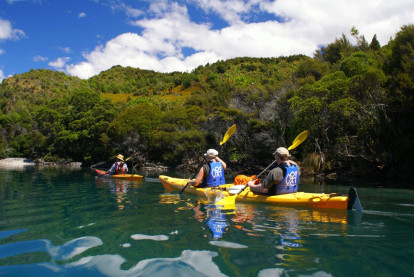 Kayaking Leisure Tours Business for Sale Queenstown