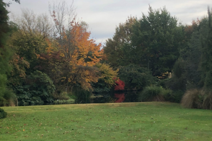 Gardening Business for Sale Rural Northern/Eastern Southland