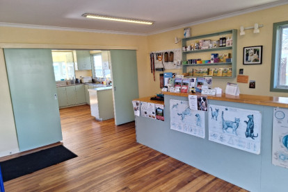 Vet Clinic Business for Sale New Plymouth