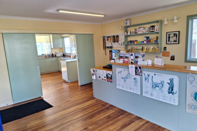 Vet Clinic Business for Sale New Plymouth