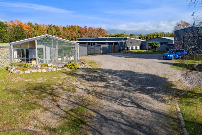 Kennels and Cattery  Business for Sale Egmont Village 