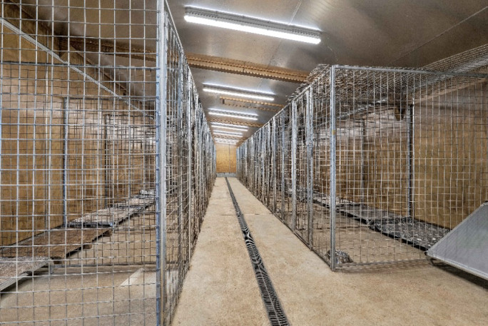 Kennels and Cattery  Business for Sale Egmont Village 