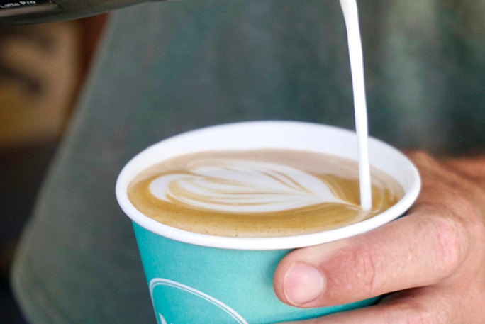 Cafe for Sale Mount Maunganui  