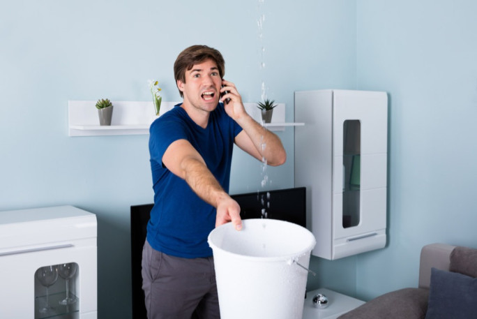 Find the ideal plumber in Tauranga Business for Sale Tauranga 