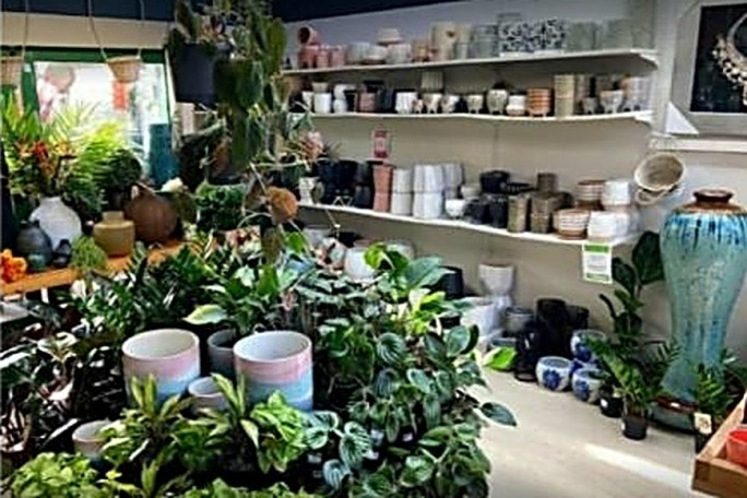 Garden Centre Business for Sale Tauranga 
