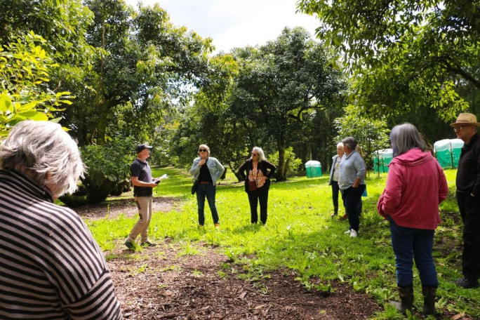 Tasting Tours & Charters Business for Sale Tauranga 