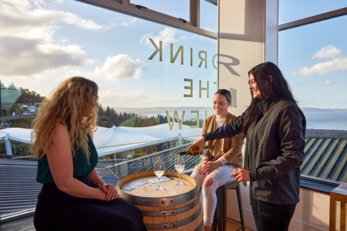Tasting Tours & Charters Business for Sale Tauranga 