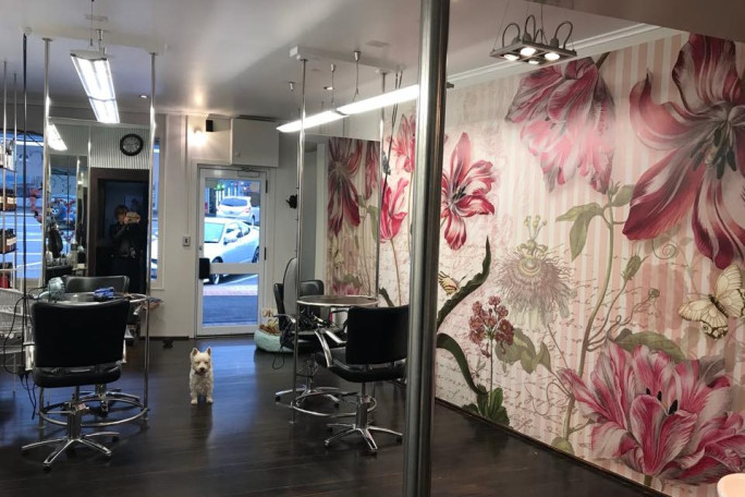 Hair Salon Business for Sale Te Aroha