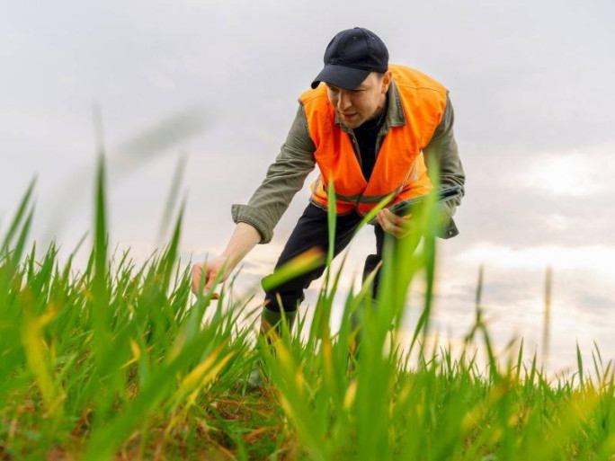 Patented Agritech Exporter Business for Sale Waikato 