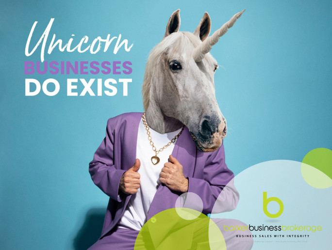 Web Design & Hosting Business for Sale Waikato