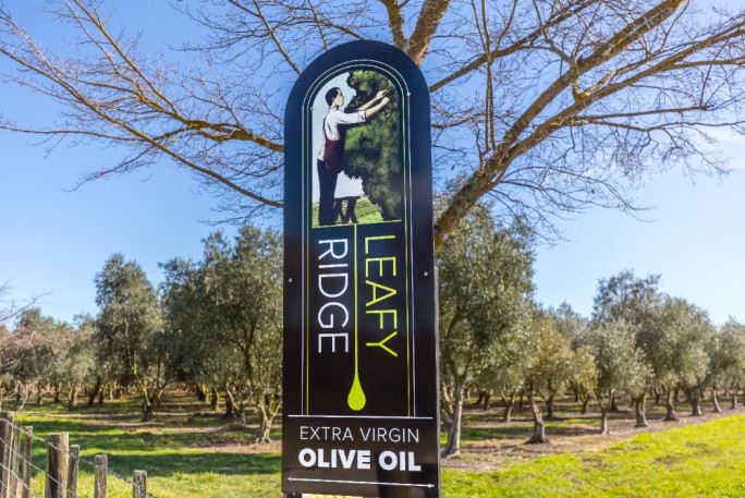 Olive Grove Business for Sale Carterton