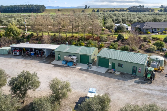 Olive Grove Business for Sale Carterton 