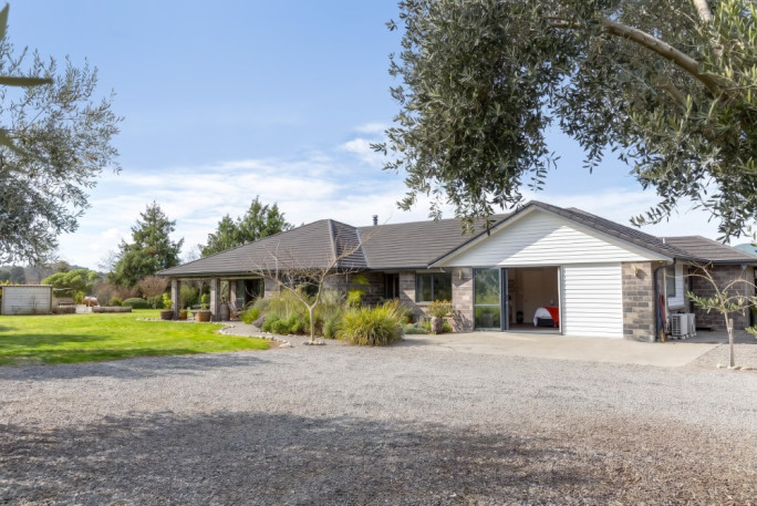 Olive Grove Business for Sale Carterton 