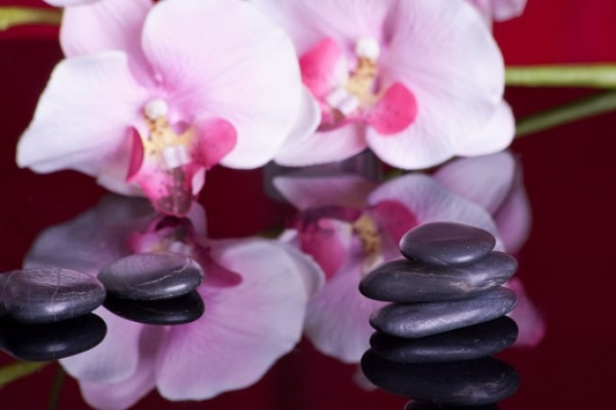 Beauty and Nail Salon Business for Sale Thorndon Wellington