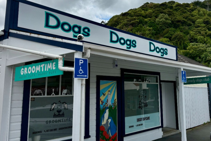 Dog Grooming  Business for Sale Eastbourne Lower Hutt 