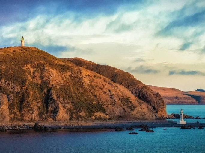 Profitable Tour Business for Sale Wellington 