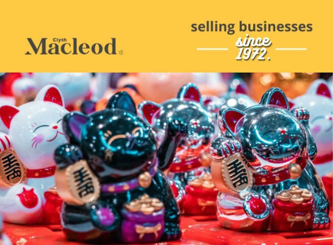 Profitable Dollar Store Business for Sale Wellington 