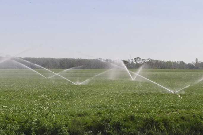 Irrigation Services Business for Sale Wellington 