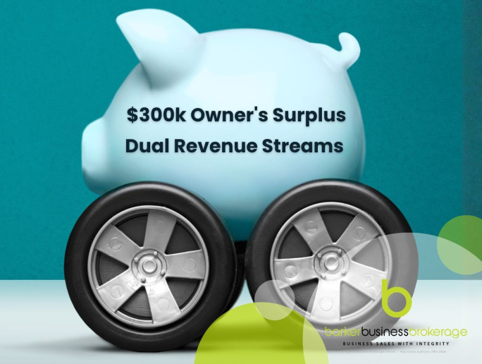 Bridgestone Tyre & Auto Workshop Business for Sale Wellington