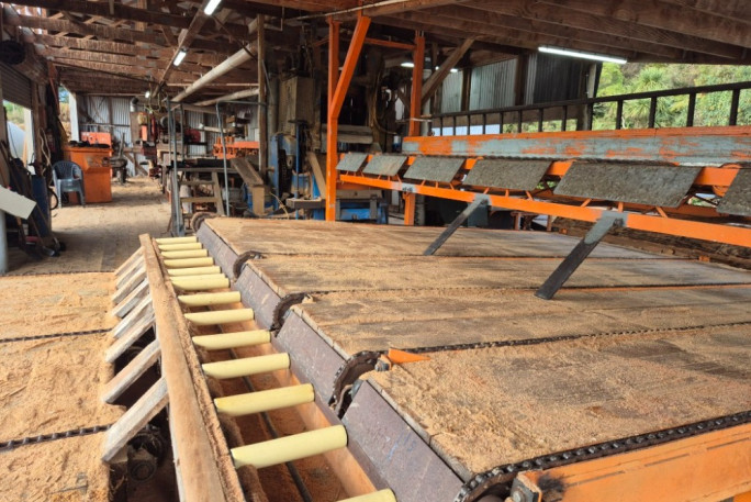 Fully Integrated Specialty Timber Processing Business for Sale Harihari 