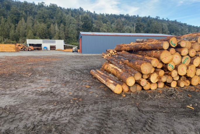 Fully integrated specialty timber processor Business for Sale Harihari 