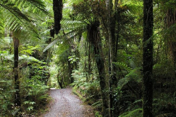 Betsey Jane Eatery & Bar for Sale Fox Glacier 