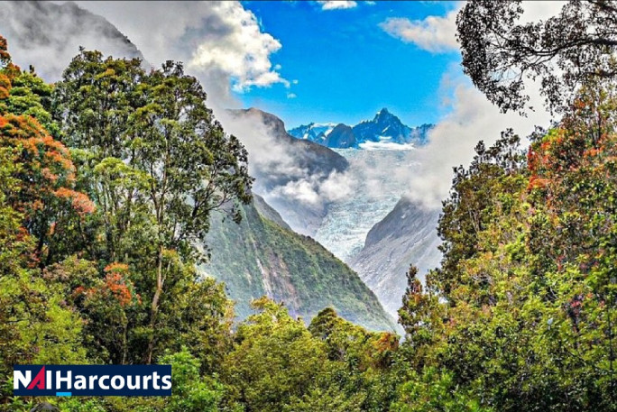 Fully Licensed Eatery and Bar for Sale Fox Glacier