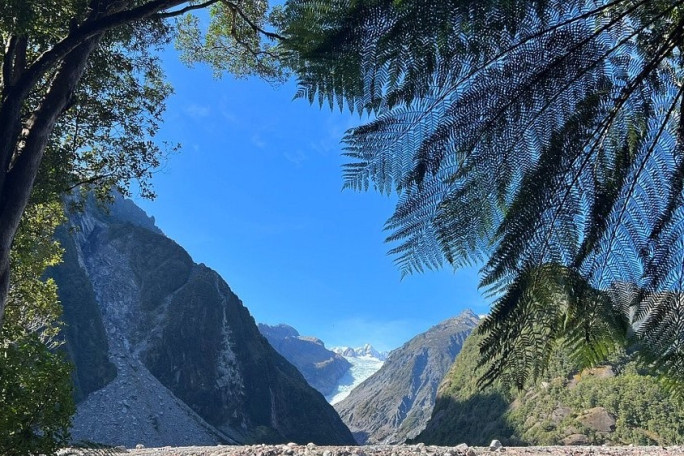 Fully Licensed Eatery and Bar for Sale Fox Glacier 