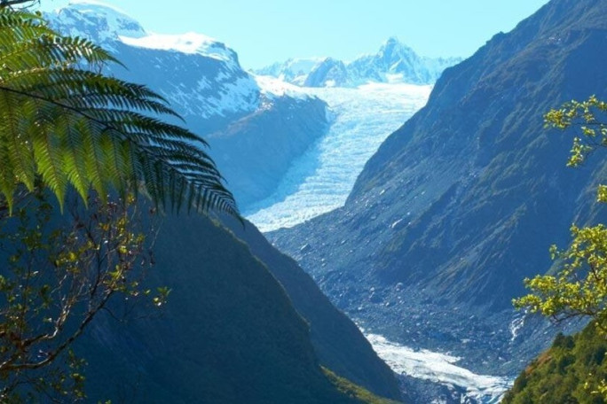 Fully Licensed Eatery and Bar for Sale Fox Glacier 