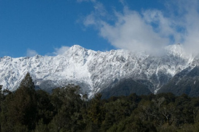 Bare Land For Tourist Development Business for Sale Fox Glacier