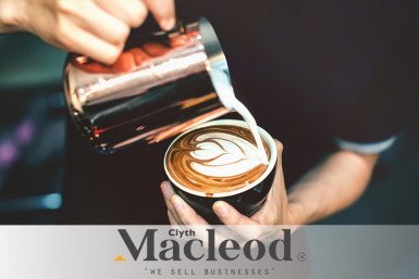 Trendy Cafe Business for Sale Whangarei CBD