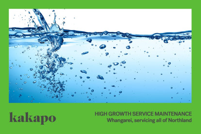 Maintenance Services Business for Sale Whangarei, flexible