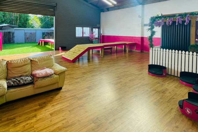 Doggy Daycare, Dog Wash, Dog Grooming Business for Sale 44 Kaka Street, Whangarei 