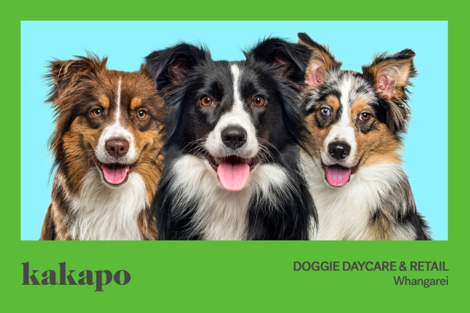 Doggy Daycare & Retail Business for Sale Whangarei 