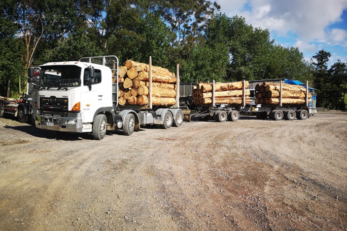 Log Haulage Business for Sale Whangarei