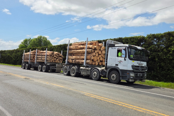 Log Haulage Business for Sale Whangarei 