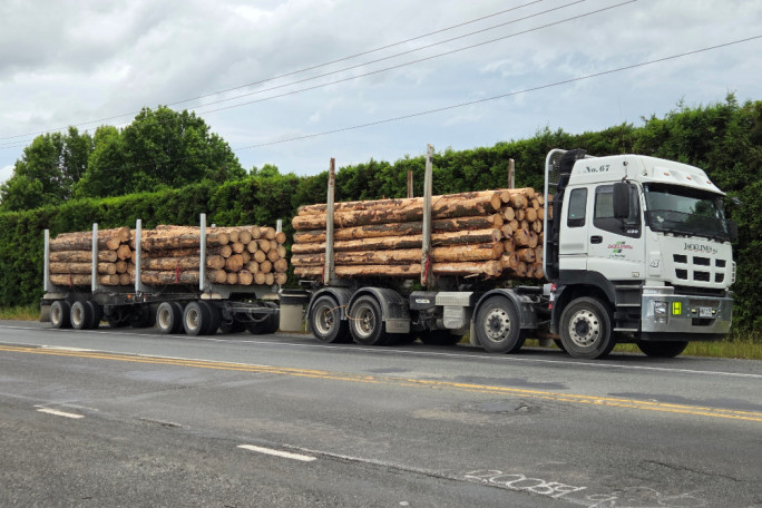 Log Haulage Business for Sale Whangarei 