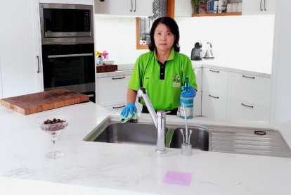 Home and Commercial Cleaning Franchise for Sale Auckland