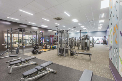 Anytime Fitness Gym Franchise for Sale Rosedale Auckland