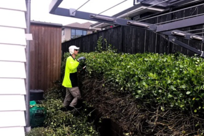 Garden Services Franchise for Sale Henderson South Henderson Valley  Garden Services Franchise for Sale Henderson South Henderson Valley