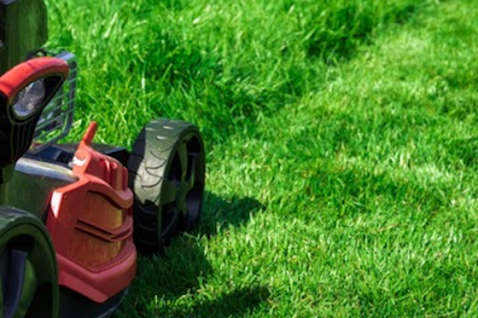 Garden Services Franchise for Sale Howick 