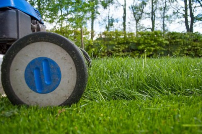 Lawn & Garden Care Franchise for Sale Manukau City