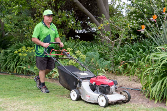 VIP Lawn mowing & Gardening Franchise for Sale Otumoetai 