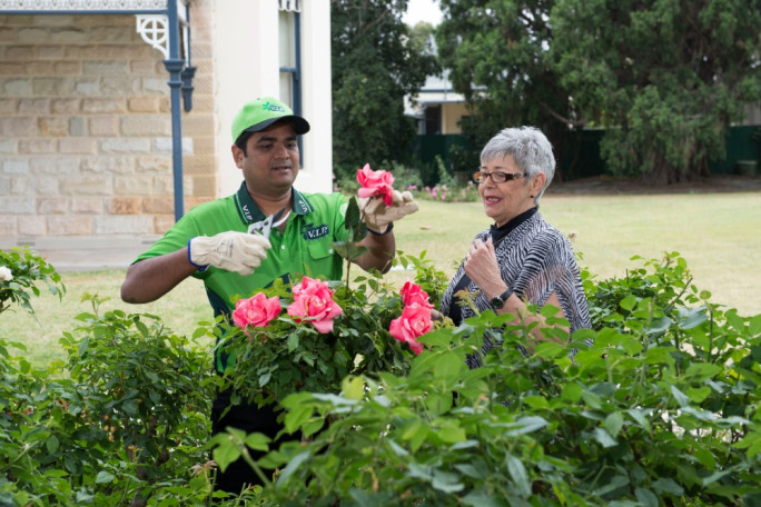 VIP Lawnmowing & Gardening Franchise for Sale Tauranga 