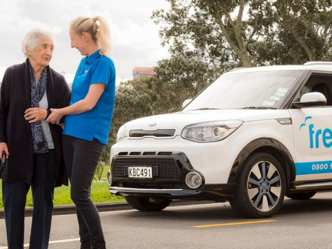 Companion Driving Franchise for Sale Hawkes Bay 
