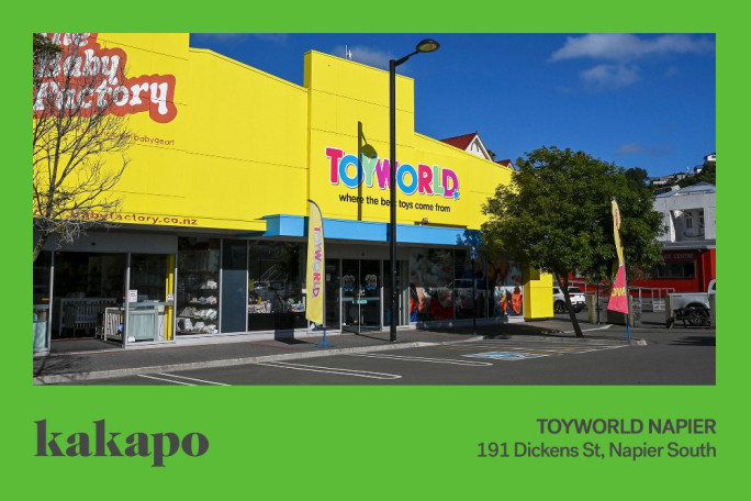 Retail Toy Franchise for Sale Napier South