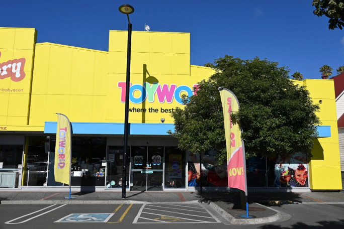 Retail Toy Franchise for Sale Napier South 