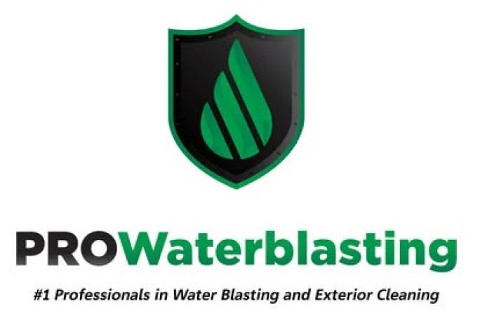 Pro Waterblasting  Franchise for Sale NZ Wide 