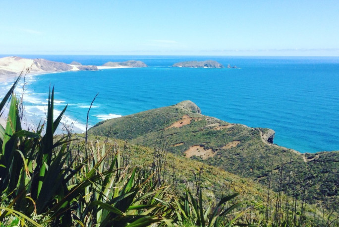 Lawn and Garden Services Franchise for Sale Bay of Islands