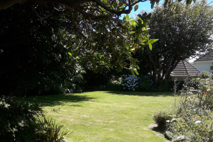 Lawn Mowing Franchise for Sale Lower Hutt Wellington